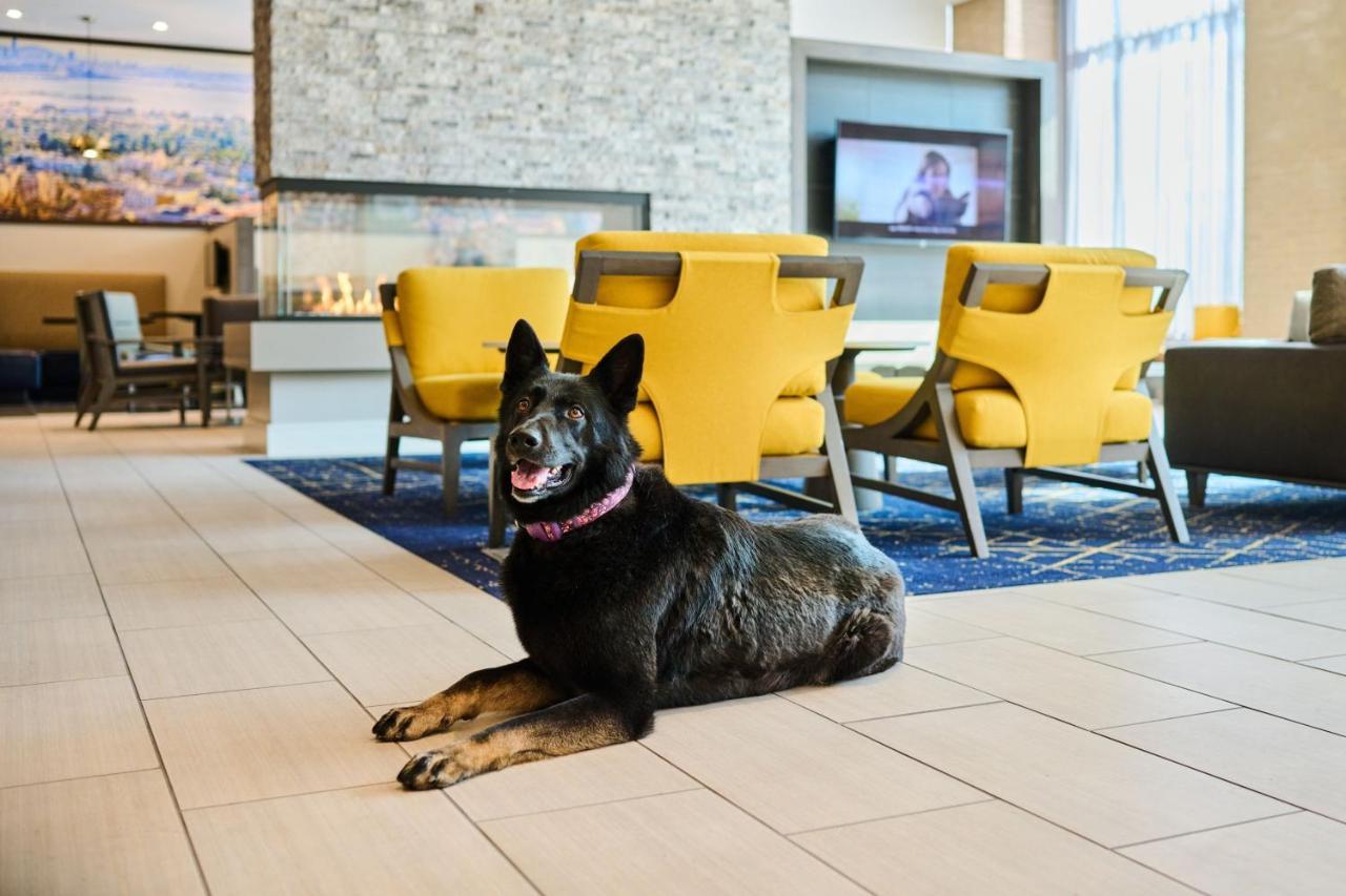 Residence Inn By Marriott Berkeley Extérieur photo